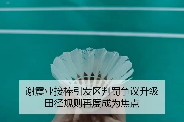 谢震业接棒引发区判罚争议升级 田径规则再度成为焦点